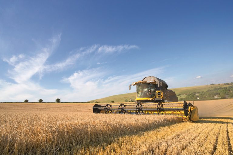 07 Jul 2015 --- Combine harvester, harvesting wheat, in sunny rural field --- Image by © Ian Lishman/Juice Images/Corbis