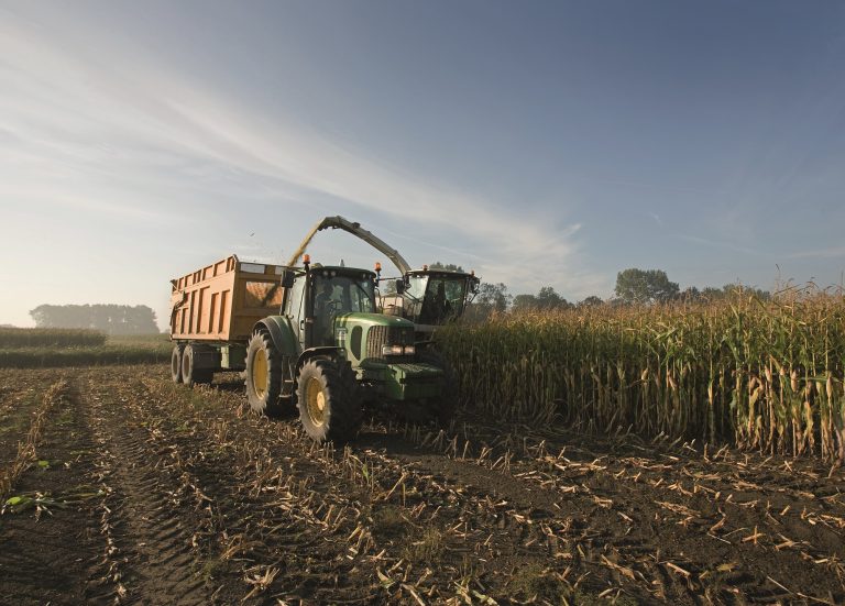 Corn harvest with tractor, trailer and combine --- Image by © 13/Roelof Bos/Ocean/Corbis